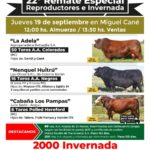 22º Remate Especial de Reproductores e Invernada – Grupo Quemu | Miguel Cané | Próximo Remate Feria el Jueves 19 de septiembre 2024