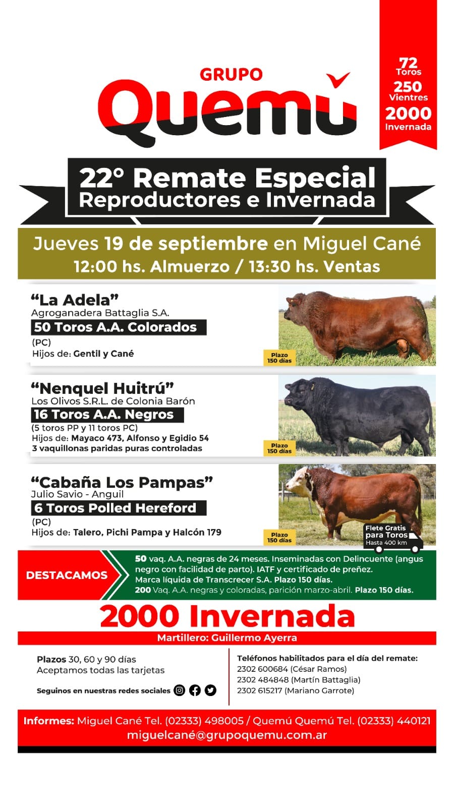 22º Remate Especial de Reproductores e Invernada – Grupo Quemu | Miguel Cané | Próximo Remate Feria el Jueves 19 de septiembre 2024