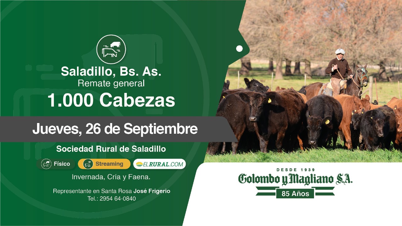 Colombo y Magliano S.A | Saladillo, Bs. As. | Próximo Remate Feria el jueves 26 de septiembre del 2024