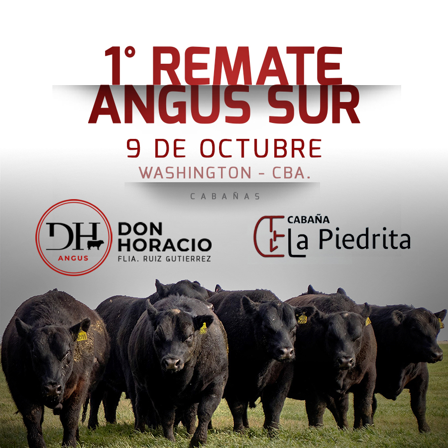 Darwash S.A | Washington, Córdoba | Próximo Remate Feria el miércoles 9 de octubre 2024