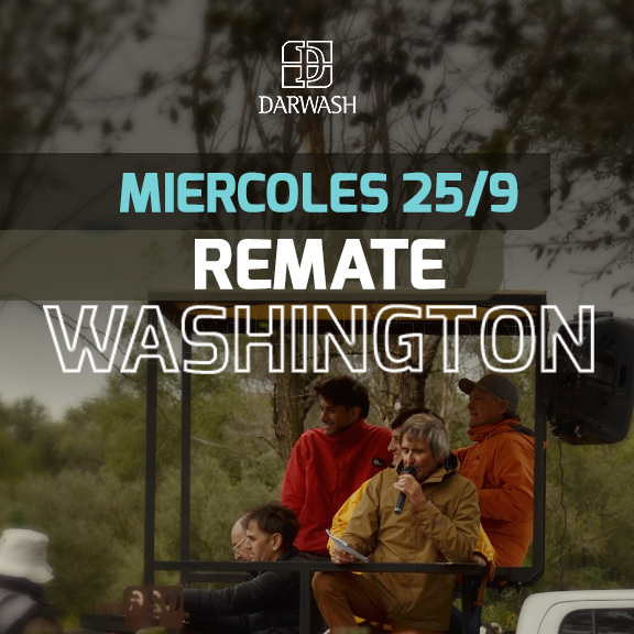 Darwash S.A | Washington, Córdoba | Próximo Remate Feria el miércoles 25 de septiembre 2024