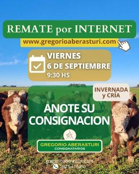 Gregorio Aberasturi SRL | Por internet | Próximo Remate Feria el viernes 06 de septiembre del 2024