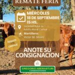 Gregorio Aberasturi SRL | Carhué – Prov. Bs As. | Próximo Remate Feria el miércoles 18 de septiembre del 2024