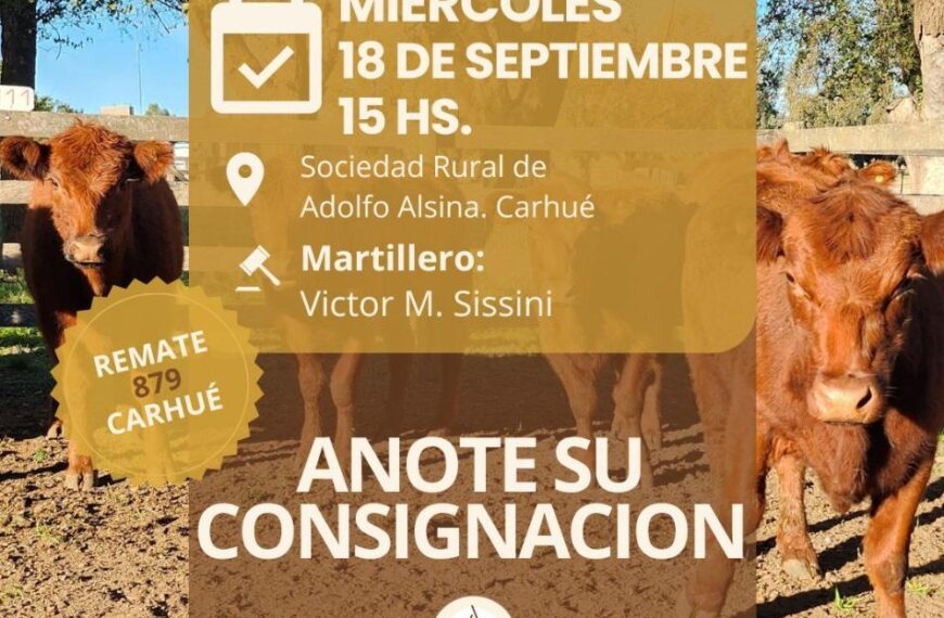 Gregorio Aberasturi SRL | Carhué – Prov. Bs As. | Próximo Remate Feria el miércoles 18 de septiembre del 2024