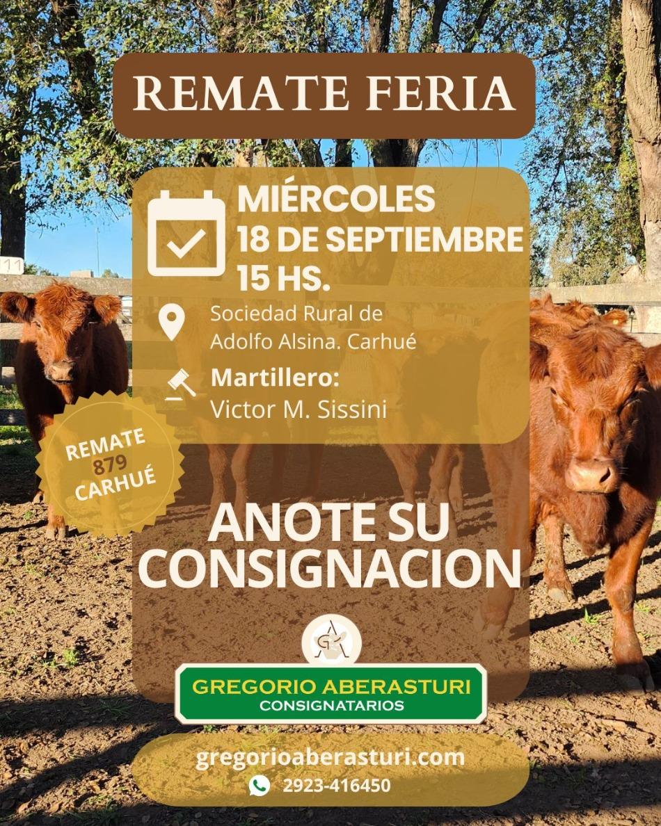 Gregorio Aberasturi SRL | Carhué – Prov. Bs As. | Próximo Remate Feria el miércoles 18 de septiembre del 2024