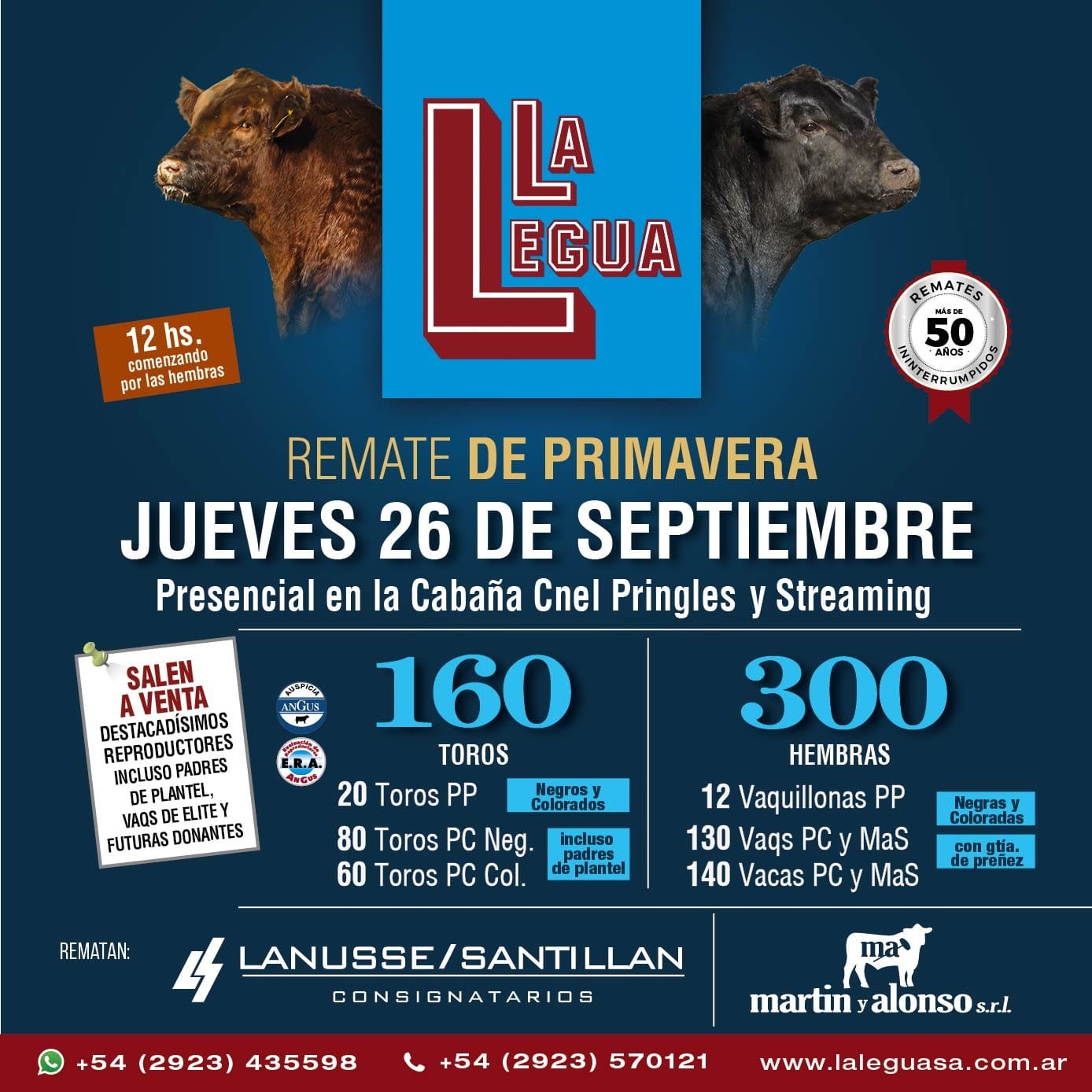 Remate de Primavera – Lanusse / Santillán | Cabaña Cnel Pringles | Próximo Remate Feria el Jueves 26 de Septiembre 2024