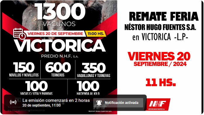 Néstor Hugo Fuentes S.A. | Victorica – La Pampa | Próximo Remate Feria el viernes 20 de septiembre 2024