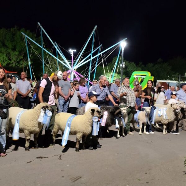 El sector ovino mostró su potencial en la 20° edición de la Expo de Alpachiri