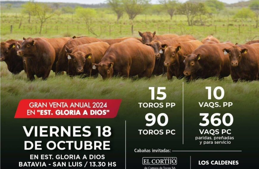 Alfredo S. Mondino | La Paz de Werthein | Batavia – San Luis | Próximo Remate Feria el viernes 18 de octubre 2024