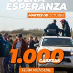 Alfredo S. Mondino | Buena Esperanza – San Luis | Próximo Remate Feria el martes 08 de octubre 2024