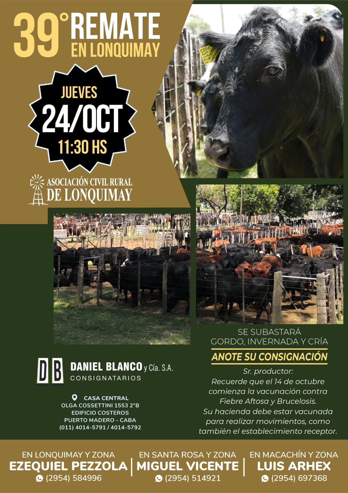 Daniel Blanco y Cía. S.A. | Lonquimay, La Pampa | Próximo Remate Feria el jueves 24 de octubre 2024