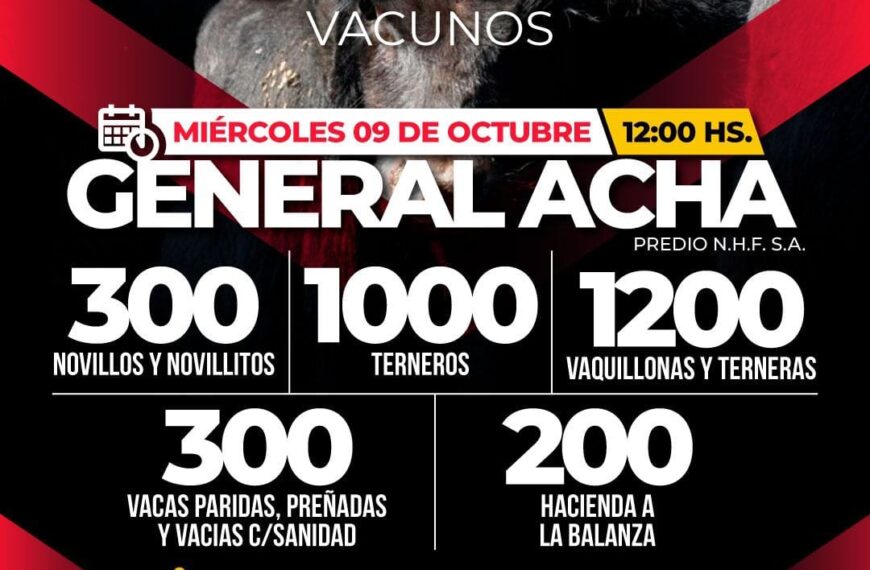 Néstor Hugo Fuentes S.A. | General Acha | Próximo Remate Feria el Miércoles 09 de octubre 2024