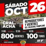 Néstor Hugo Fuentes S.A. | Gral. Acha| Próximo Remate Feria el Sábado 26 de octubre 2024