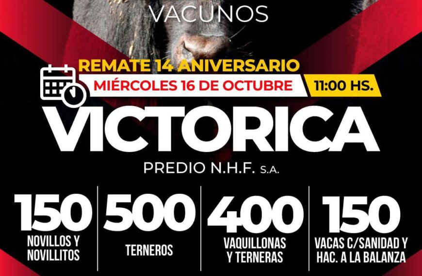 Néstor Hugo Fuentes S.A. | Victorica | Próximo Remate Feria el Miércoles 16 de octubre 2024