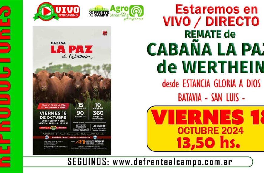 Remate de Alfredo S. Mondino| La Paz de Werthein  | Batavia | 18-10-2024