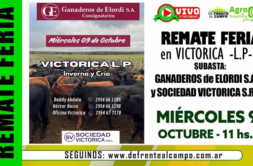 Remate de Ganaderos de Elordi S.A. y Sociedad Victorica S.R.L. | Victorica – La Pampa | 09/10/2024