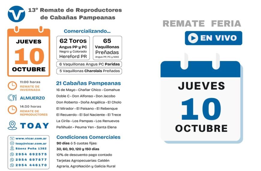 Remate de Vicar Ganadera S.A. | Reproductores | Toay – La Pampa | 10/10/2024