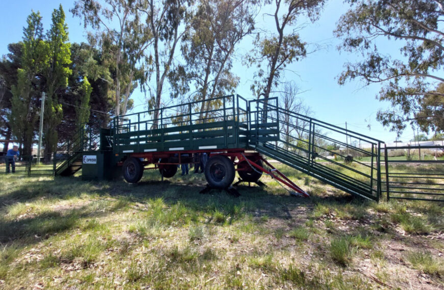 Chubut: Se presentó un nuevo bañadero móvil para fortalecer la sanidad ovina en la meseta