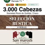 Colombo y Magliano S.A. | Quitilipi, Chaco | Próximo Remate Feria el Martes, 8 de Octubre 2024