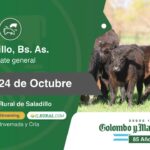 Colombo y Magliano S.A. | Saladillo, Bs. As. | Próximo Remate Feria el Jueves 24 de Octubre de 2024