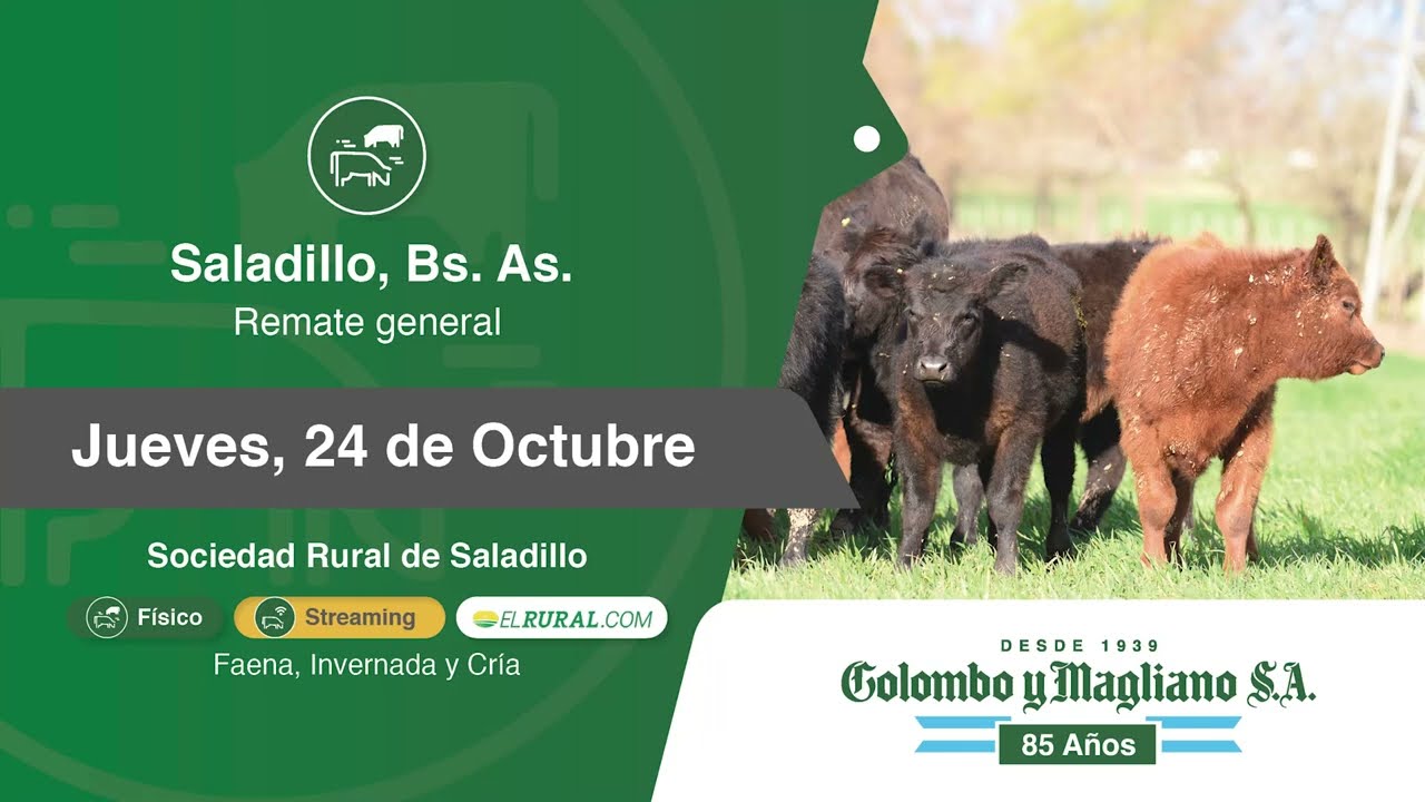 Colombo y Magliano S.A. | Saladillo, Bs. As. | Próximo Remate Feria el Jueves 24 de Octubre de 2024