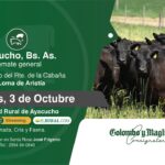 Colombo y Magliano S.A | Ayacucho, Bs. As. | Próximo Remate Feria el Jueves 03 de Octubre de 2024