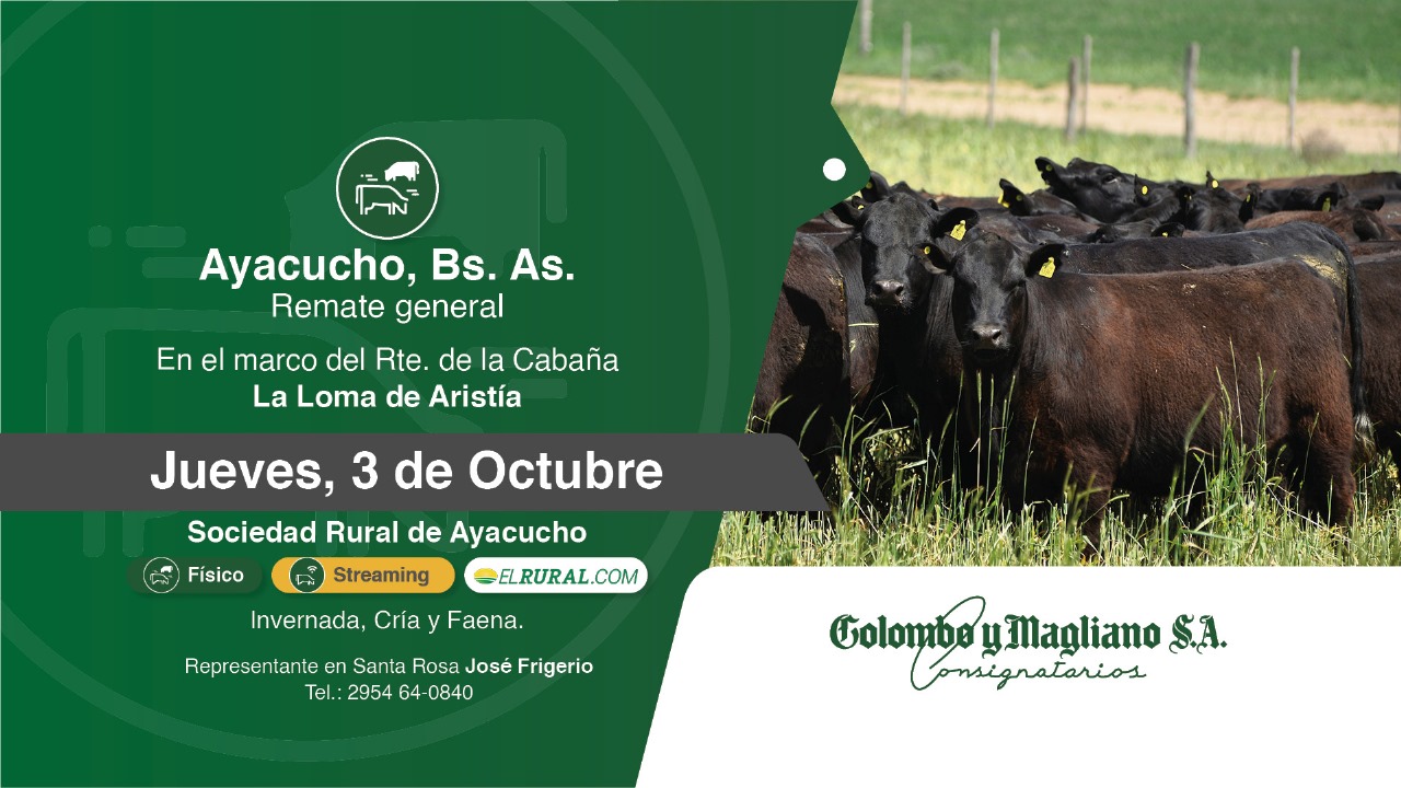 Colombo y Magliano S.A | Ayacucho, Bs. As. | Próximo Remate Feria el Jueves 03 de Octubre de 2024