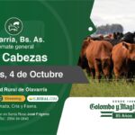 Colombo y Magliano S.A. | Olavarría, Bs. As. | Próximo Remate Feria el Viernes 04 de Octubre de 2024