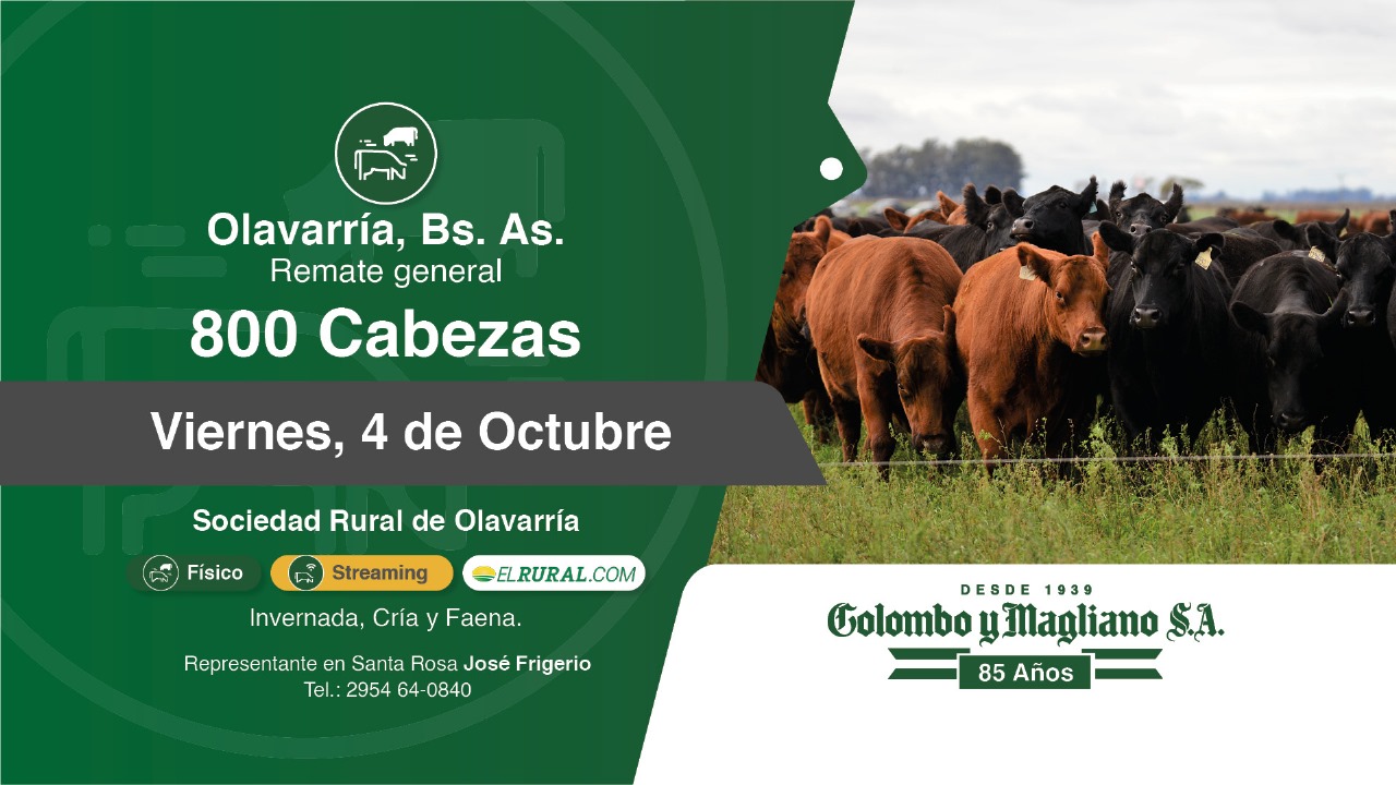 Colombo y Magliano S.A. | Olavarría, Bs. As. | Próximo Remate Feria el Viernes 04 de Octubre de 2024