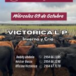 Ganaderos de Elordi S.A. | Victorica – La Pampa | Próximo Remate Feria el miércoles 09 de octubre 2024