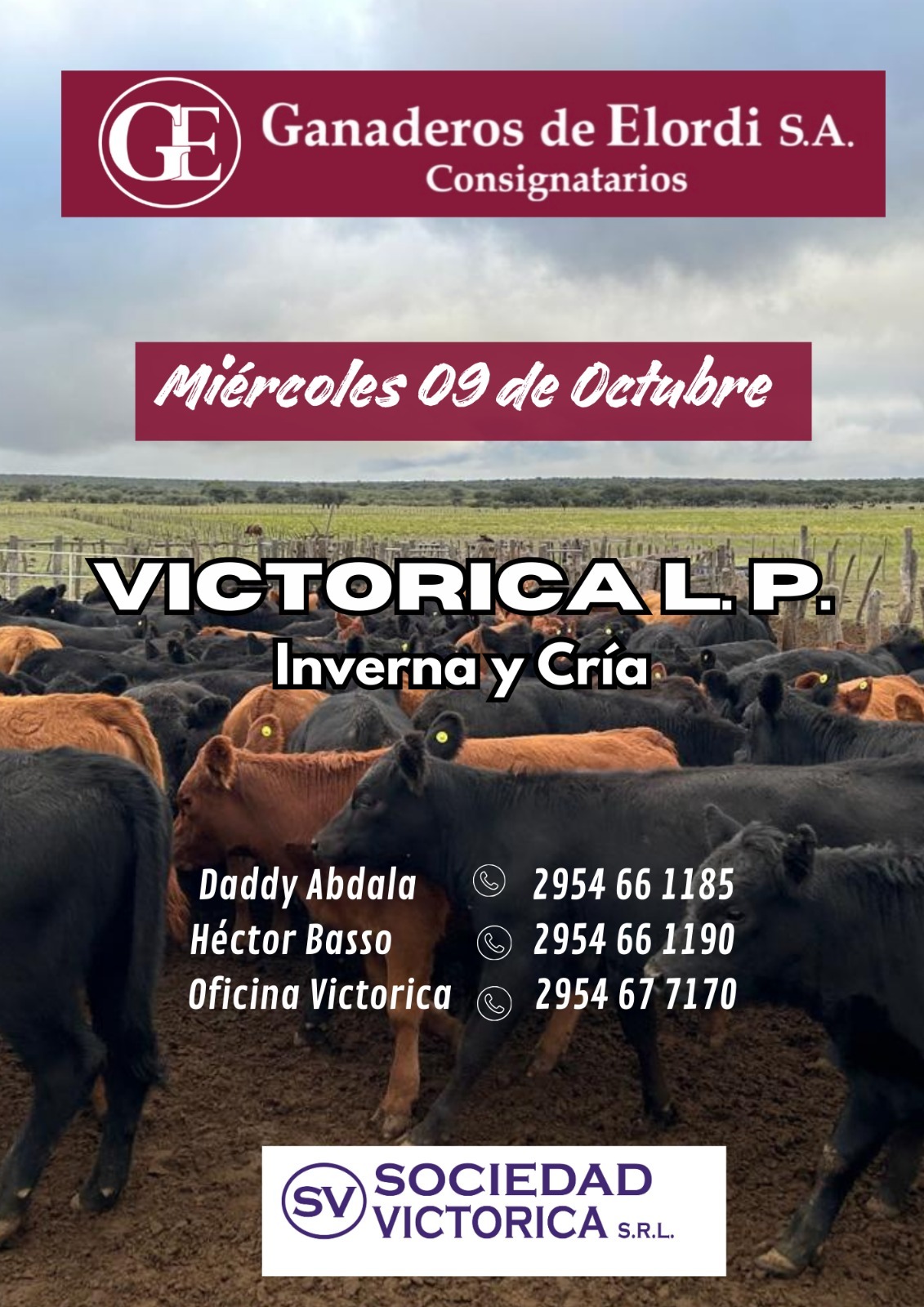 Ganaderos de Elordi S.A. | Victorica – La Pampa | Próximo Remate Feria el miércoles 09 de octubre 2024