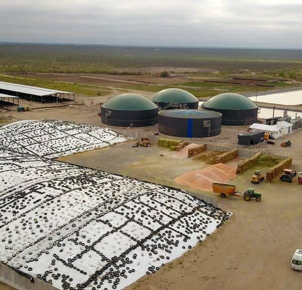 Ciencia y tecnología en pos del uso y gestión eficiente del agua en la ribera del Río Colorado