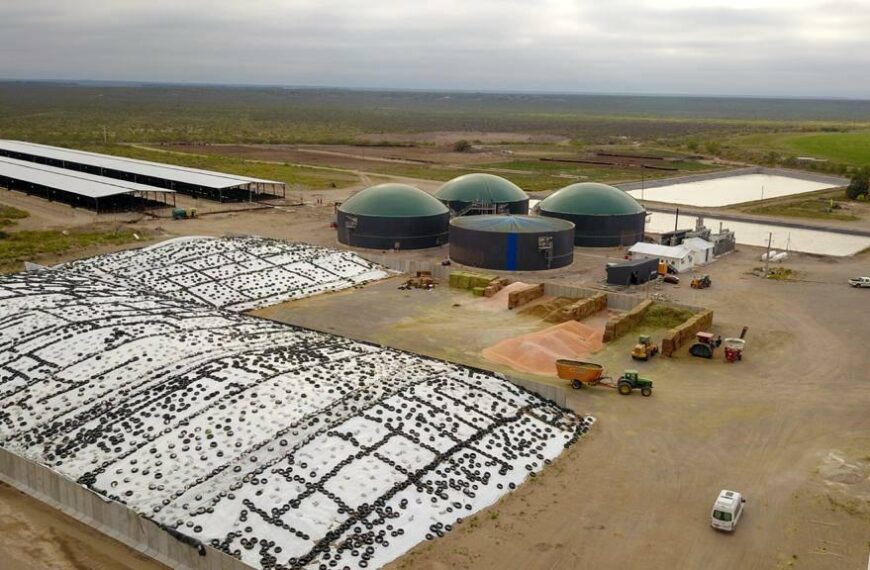 Ciencia y tecnología en pos del uso y gestión eficiente del agua en la ribera del Río Colorado