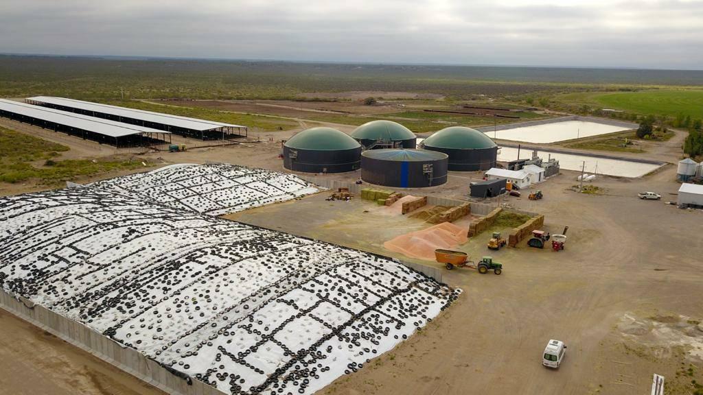 Ciencia y tecnología en pos del uso y gestión eficiente del agua en la ribera del Río Colorado