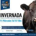 Saenz Valiente, Bullrich | Gral. Villegas, Bs. As. | Próximo Remate Feria el miércoles 16 de octubre 2024