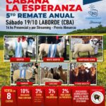 Saenz Valiente, Bullrich | Laborde, CBA | Próximo Remate Feria el Sábado 19 de octubre 2024