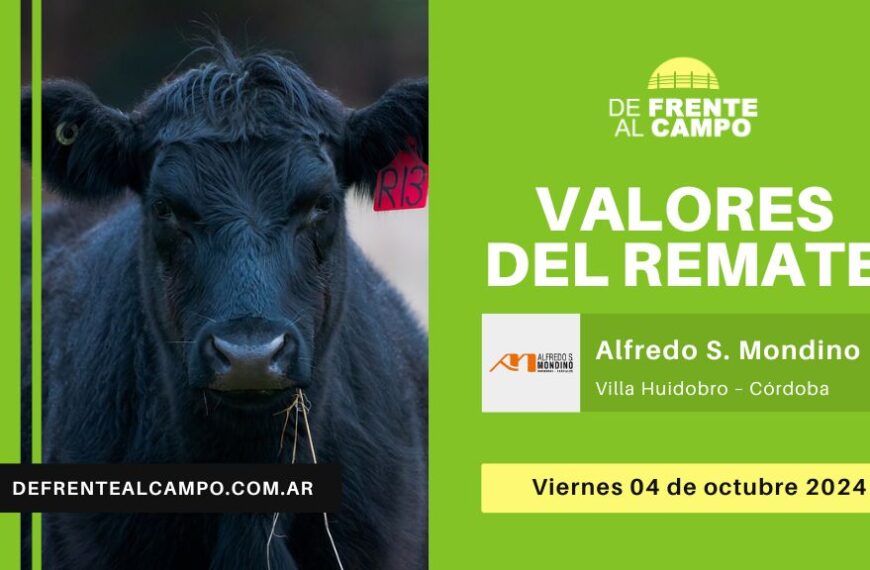 Valores del remate de Alfredo S. Mondino | Villa Huidobro – Córdoba | 04-10-2024