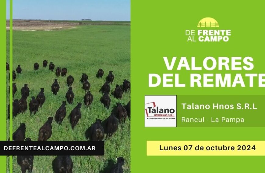 Valores del remate de Talano Hnos S.R.L | Cabaña La Ñata | Rancul – L.P. | 07-10-2024