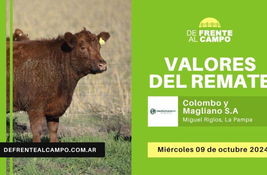 Valores del remate de Colombo y Magliano S.A. | Miguel Riglos, La Pampa | 09-10-2024