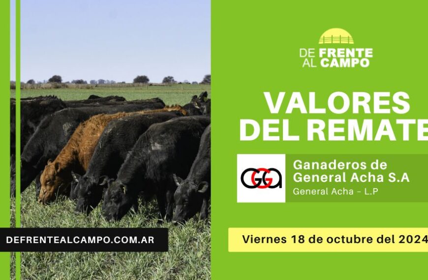 Valores del remate de Ganaderos de General Acha S.A. | General Acha – L.P. | 18-10-2024