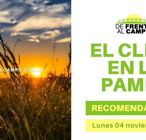 Clima agradable en La Pampa: Soleado y con brisas frescas – Lunes 4 de noviembre