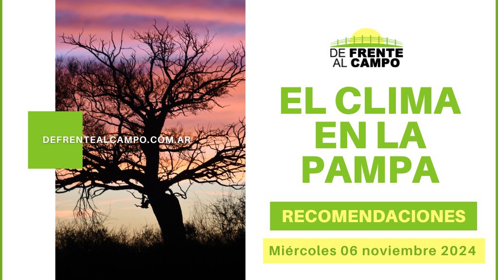 Miércoles 6 de Noviembre: Tormentas en el Norte y Sol en el Sur de La Pampa