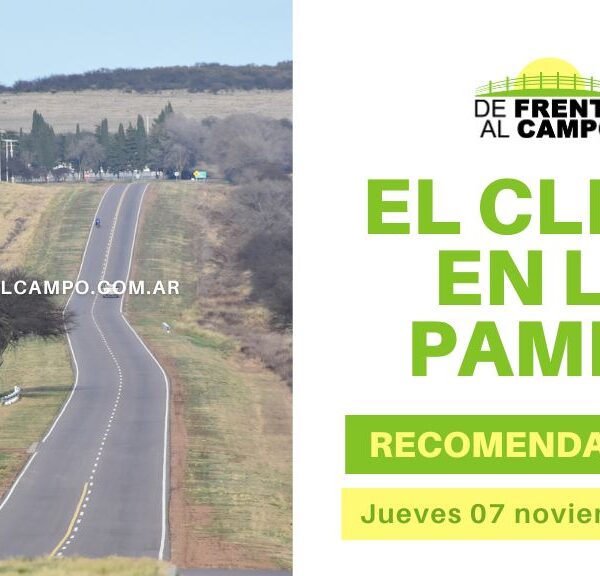 Clima en La Pampa: Soleado en la mayor parte de la provincia con vientos moderados – Jueves 7/11