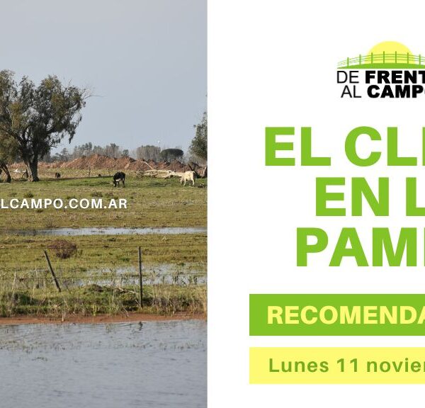 Lunes 11 de Noviembre: La Pampa amanece con ráfagas intensas y temperaturas agradables