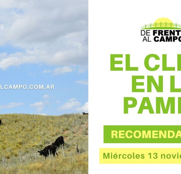 Soleado y cálido: La Pampa supera los 30°C este miércoles, 13 de noviembre 2024