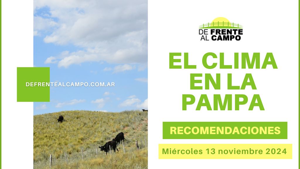 Soleado y cálido: La Pampa supera los 30°C este miércoles, 13 de noviembre 2024