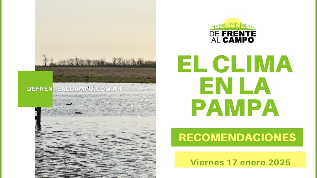 Viernes 17 de enero Caluroso y Tormentoso en La Pampa: Máximas de 34°C y Tormentas Eléctricas Aisladas