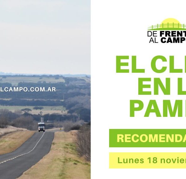 Lunes soleado en La Pampa: Hasta 26°C. ¡A disfrutar del buen tiempo!