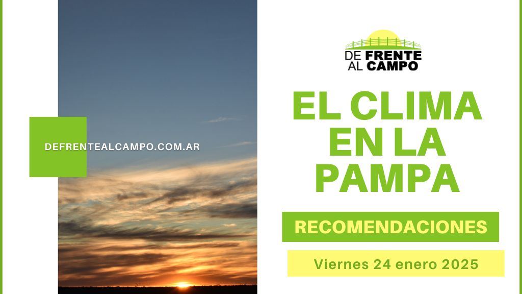 Viernes 24 de enero cálido en La Pampa: días soleados y tormentas el domingo