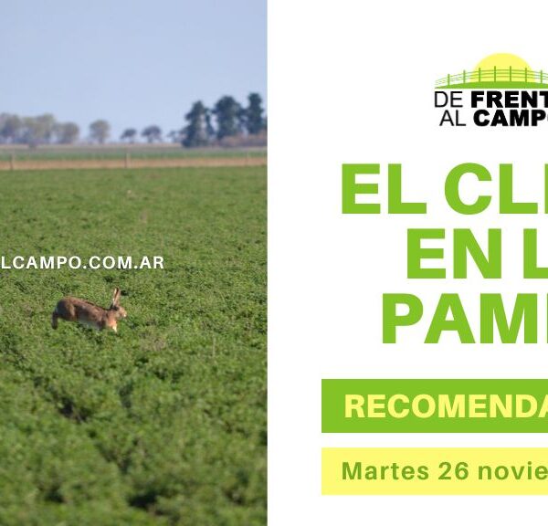 Martes 26 de noviembre en La Pampa: Sol, viento y condiciones ideales en casi toda la provincia.